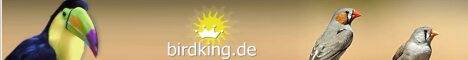 birdking.jpg