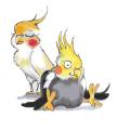 maskottchen1.jpg