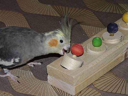 bocly_aktiv_07.jpg bocly_aktiv_07.jpg