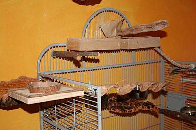 flori_futterbretter_3.jpg flori_futterbretter_3.jpg