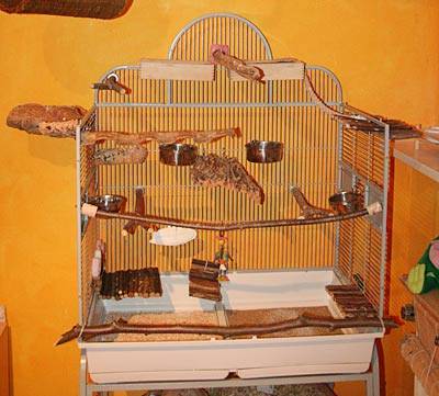 flori_futterbretter_t.jpg flori_futterbretter_t.jpg