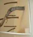fraeuleing_kletterwand_4.jpg