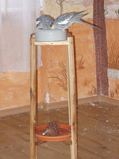 jantin_futterstaender_1.jpg jantin_futterstaender_1.jpg