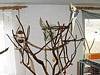 natsge_vogelbaum_1_b.jpg