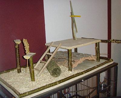 nymphis_spielplatz_1.jpg nymphis_spielplatz_1.jpg