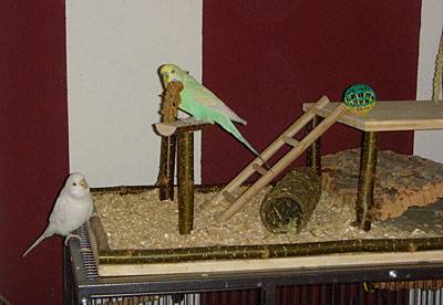 nymphis_spielplatz_2.jpg nymphis_spielplatz_2.jpg