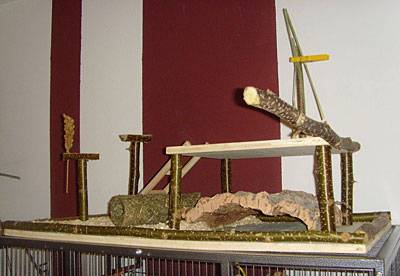 nymphis_spielplatz_t.jpg nymphis_spielplatz_t.jpg
