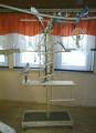 oltmanns_vogelbaum_6.jpg
