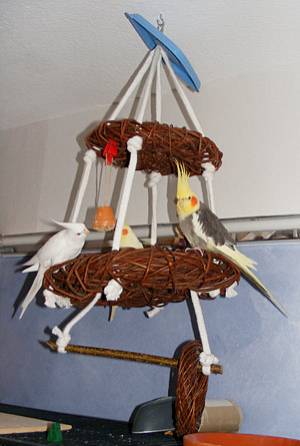 shanti_weidenkranzpyramide_t.jpg shanti_weidenkranzpyramide_t.jpg