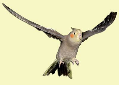 flug2.jpg flug2.jpg