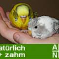 agnb_birdsonline.jpg