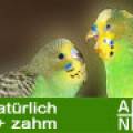 agnb_naturbrut.jpg