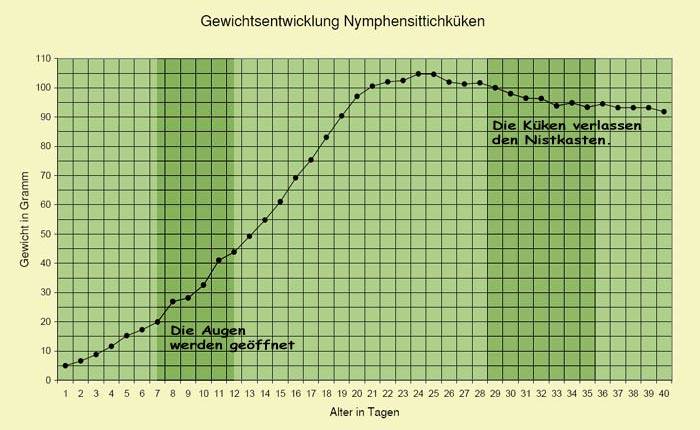 gewichtsentwicklung.jpg