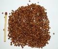 quinoa_1.jpg