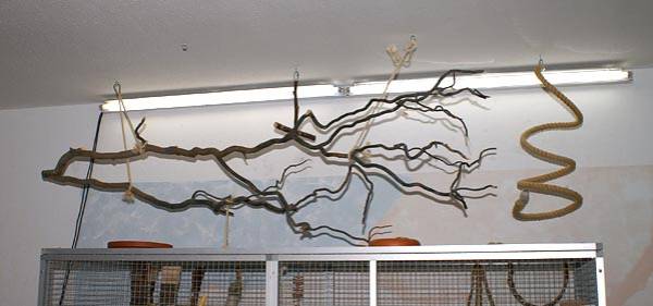 vogelwohnzimmer_9.jpg