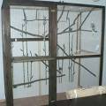 vogelwohnzimmer_bine_2.jpg