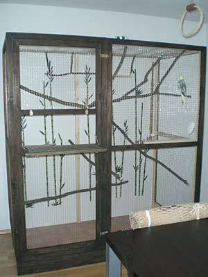 vogelwohnzimmer_bine_2.jpg