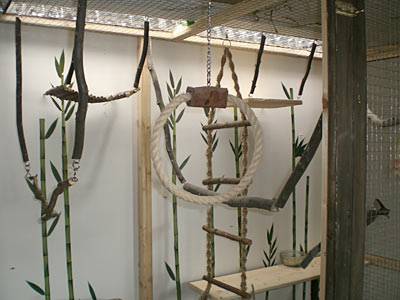 vogelwohnzimmer_bine_3.jpg