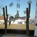 vogelwohnzimmer_bine_5.jpg