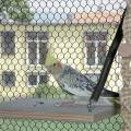vogelwohnzimmer_bine_6.jpg