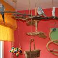 vogelwohnzimmer_hellen_1.jpg