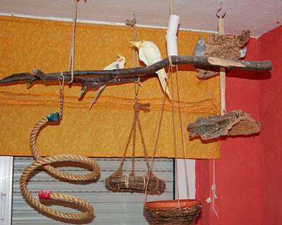 vogelwohnzimmer_hellen_2.jpg