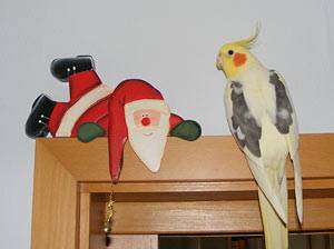 weihnachten_deko.jpg