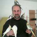 vertrauen_vogelbaum.jpg